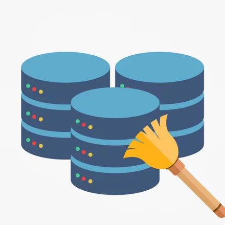 Data Cleansing and Enrichment
